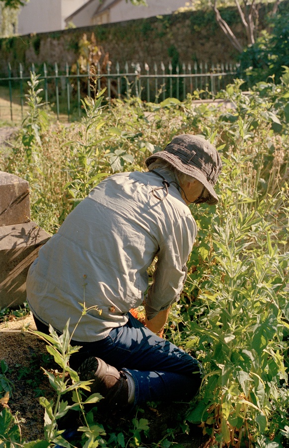 Gardening 21